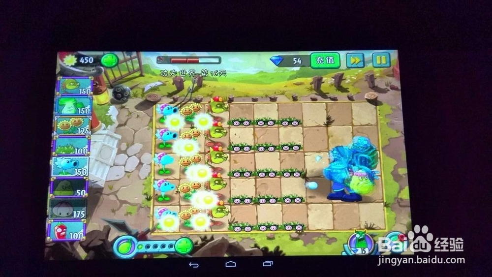 植物大战僵尸2功夫世界第29、16天攻略