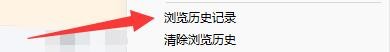 在瑞影浏览器中如何查看浏览历史记录