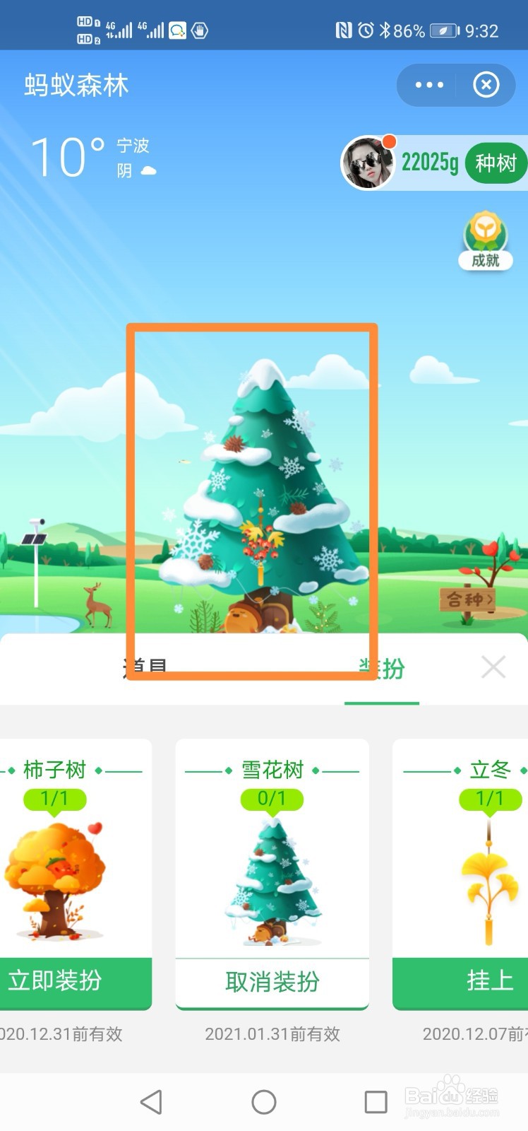 支付宝蚂蚁森林如何装扮雪花树？