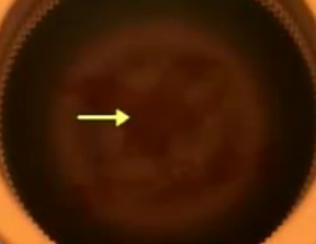 喝饮料教你如何“再来一瓶”