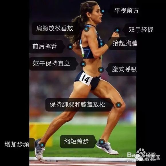 瘦腿锻炼、拉伸和按摩方法