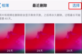 从文件管理删除的照片怎么恢复