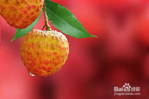 不同品种荔枝怎么挑