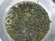 地皮菜怎么做？