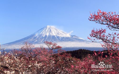 日本亲自旅游攻略