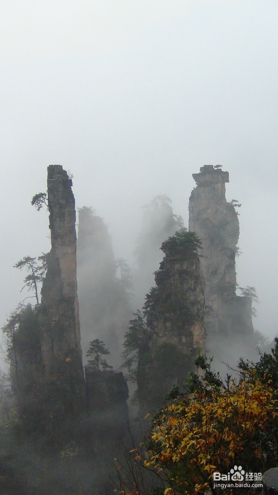 张家界客栈联盟