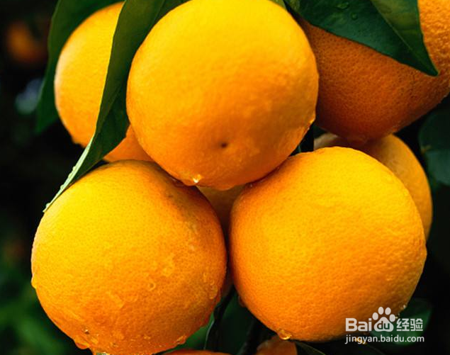 小孩子多吃橙子有什么好处?