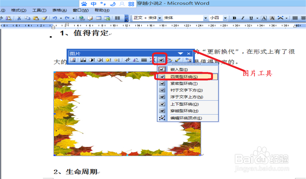 怎样把图片插入到2003word文档中?