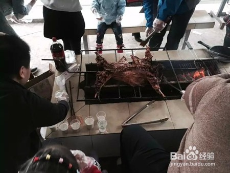 长沙户外拓展项目，玩过的都说好！