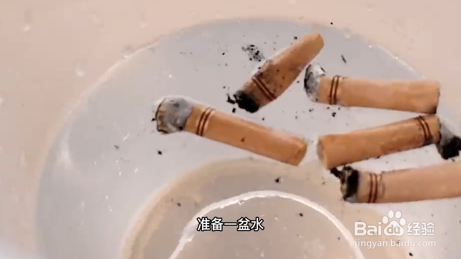 屋里有小飞虫怎么消灭,从哪里来的