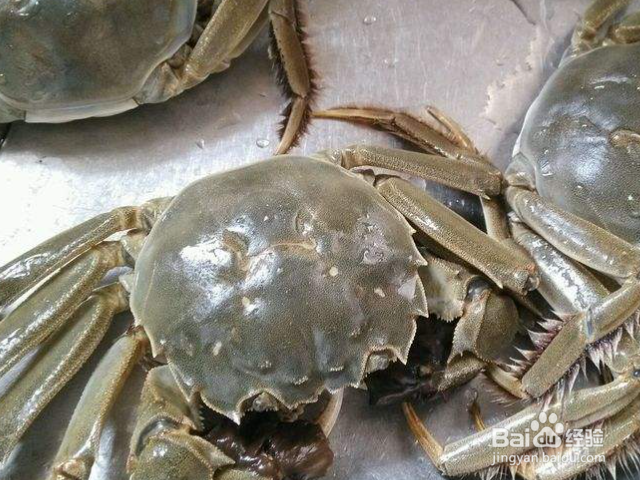 新买的螃蟹怎么存放