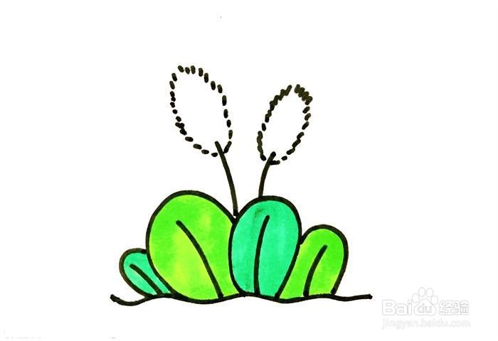 狗尾巴草怎么画