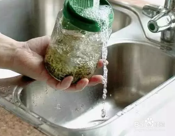 如何在家体验绿色健康的半农生活？