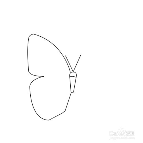 如何画蝴蝶简笔画