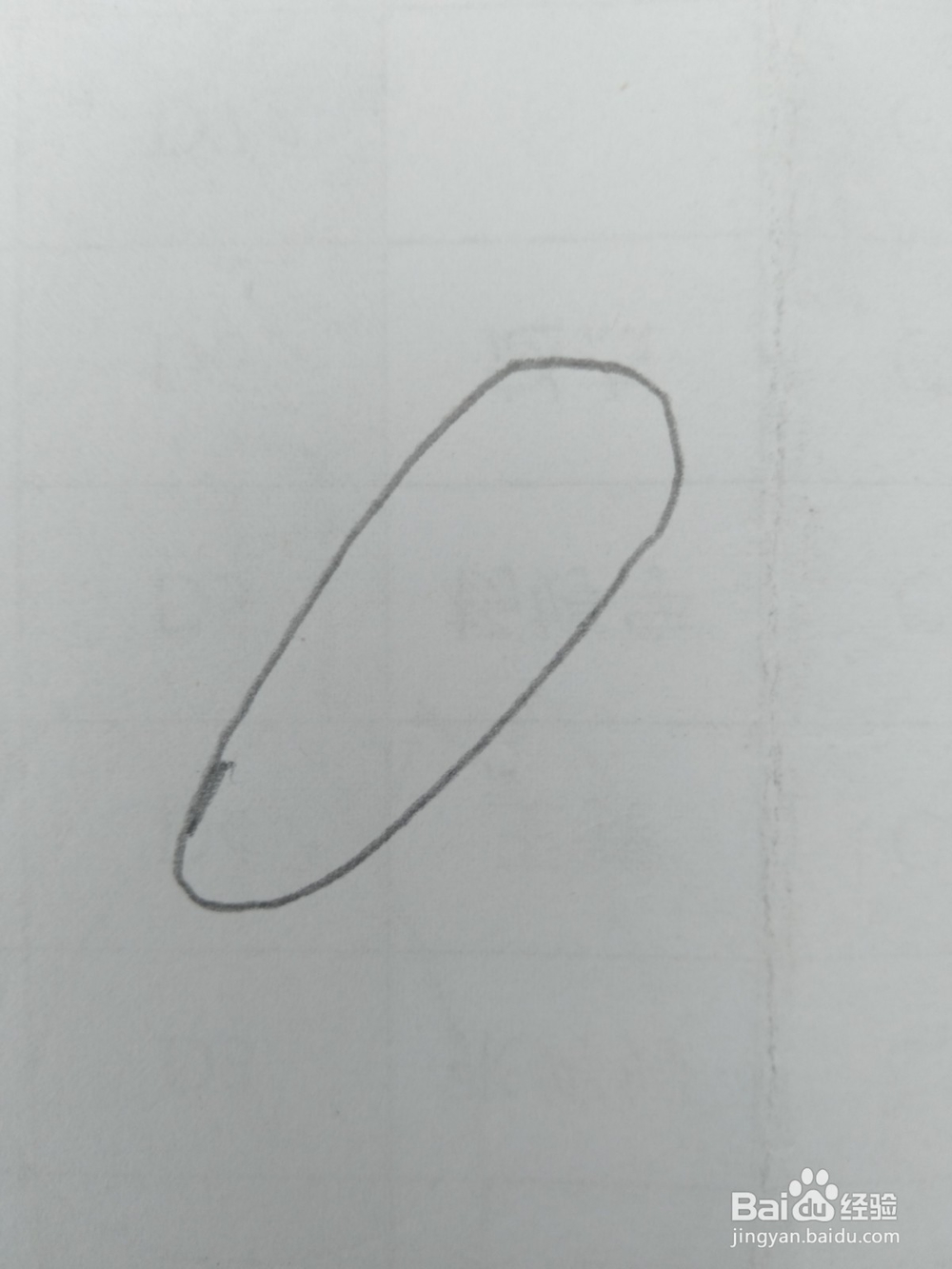 简笔画胡萝卜画法五