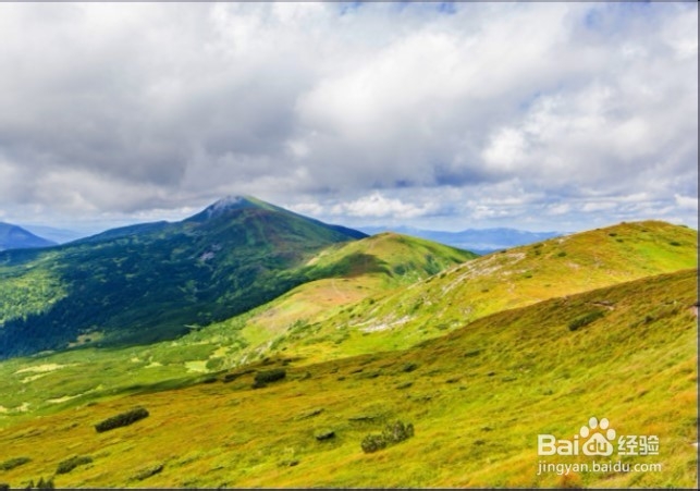 过年适合哪些人旅游