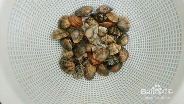 辣炒花蛤 好吃不贵