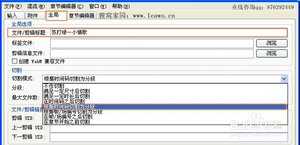 怎样将mkv视频截取