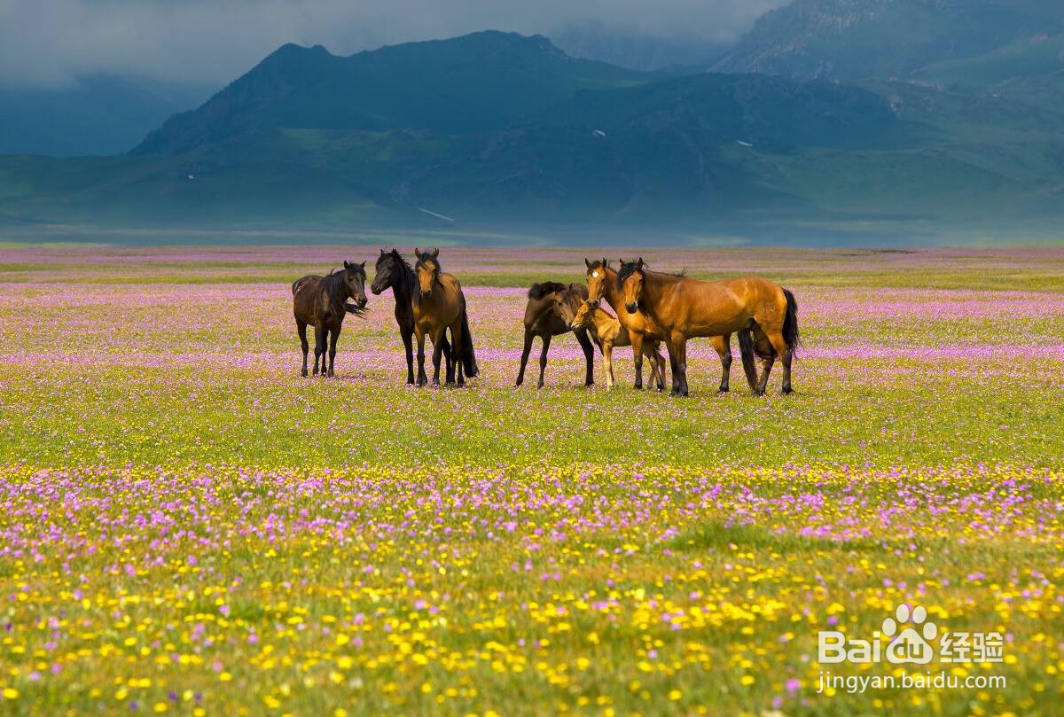 博尔塔拉周边好玩的人气旅游景点推荐