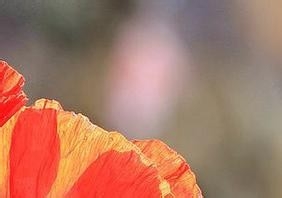 健康生活小知识10