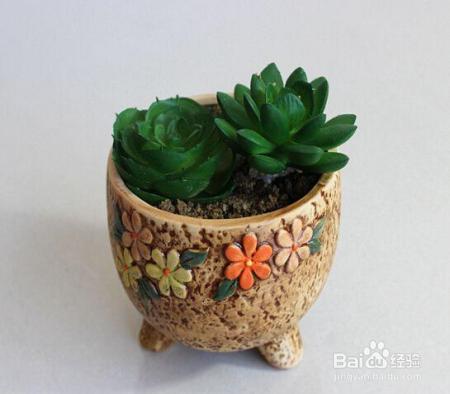 花盆在秋天要这样换,来年保准叶子更绿花儿更艳!