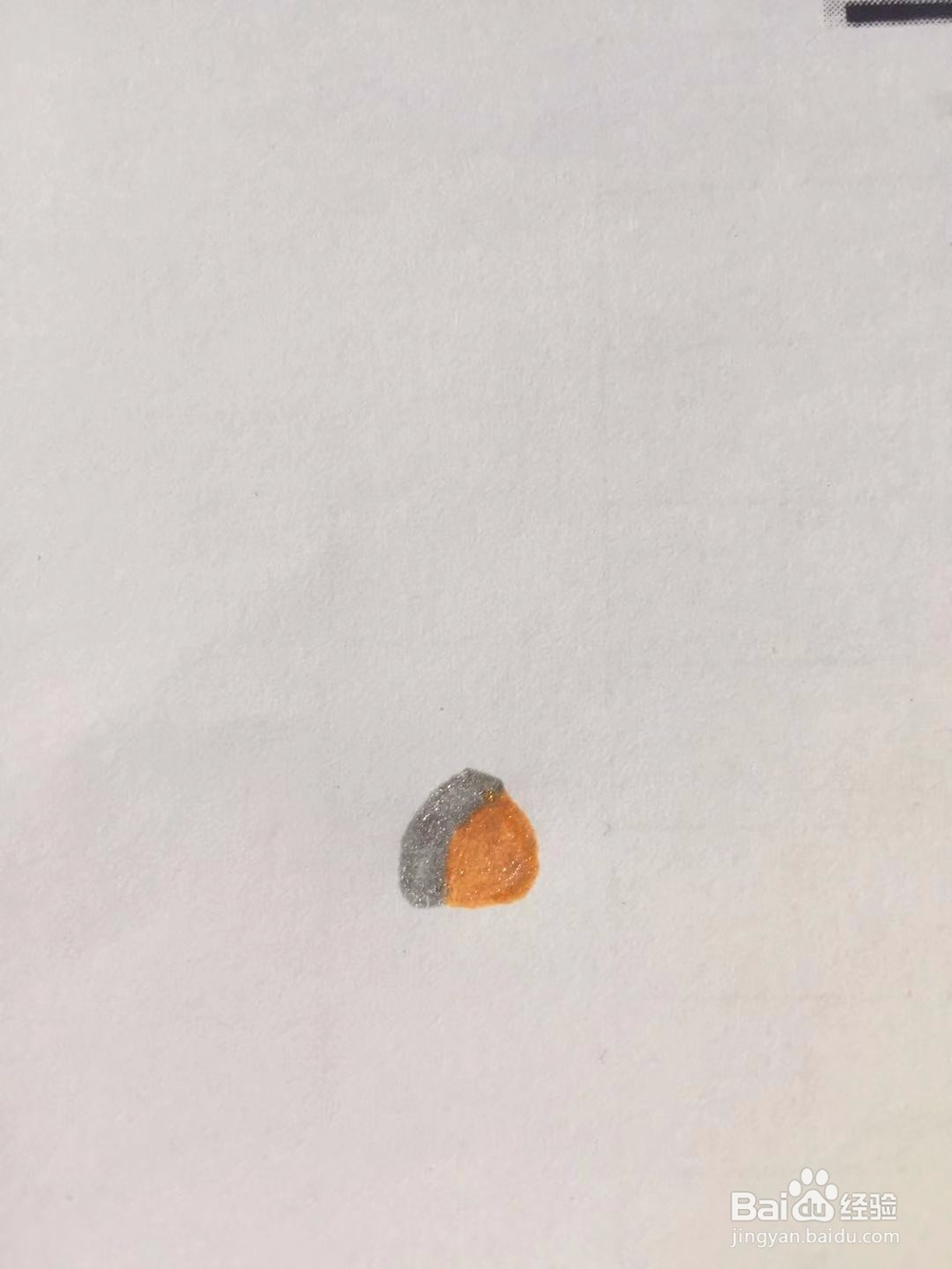 茉莉手绘之鱼的休憩