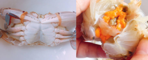 虾蟹粥这样煮啊