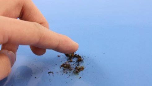 羊皮毛一体UGG雪地靴的真假辨别（多图）