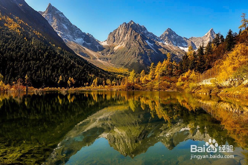 川西若尔盖花湖 川西7日摄影旅游 西北户外地接