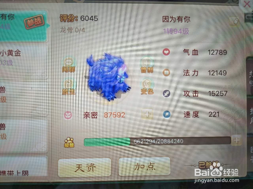 大话西游手游 抓变色宝宝