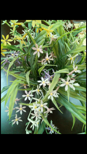 Samsung Galaxy C5 SM-C5000(6.0.1)如何开启HDR拍摄?