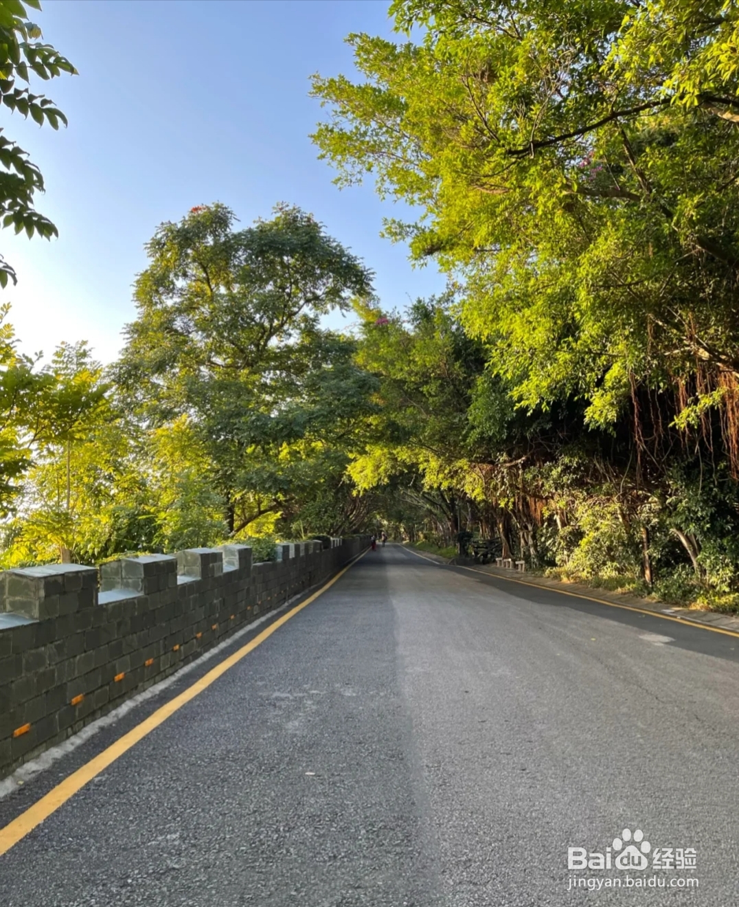 百丈岭 爬山攻略