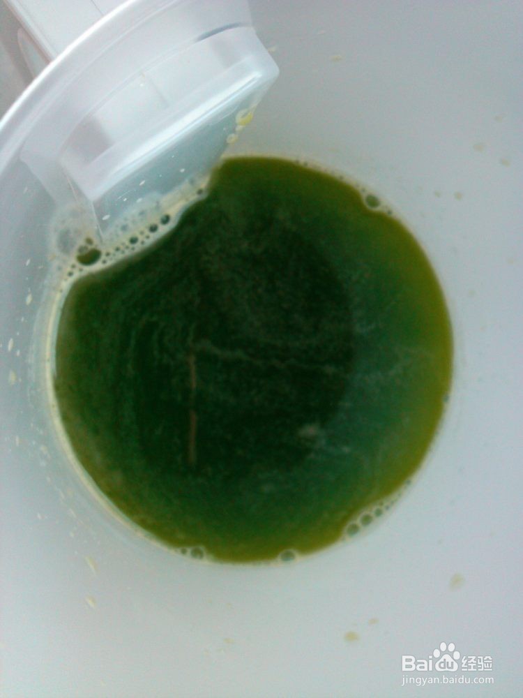 西瓜皮汁简单做法