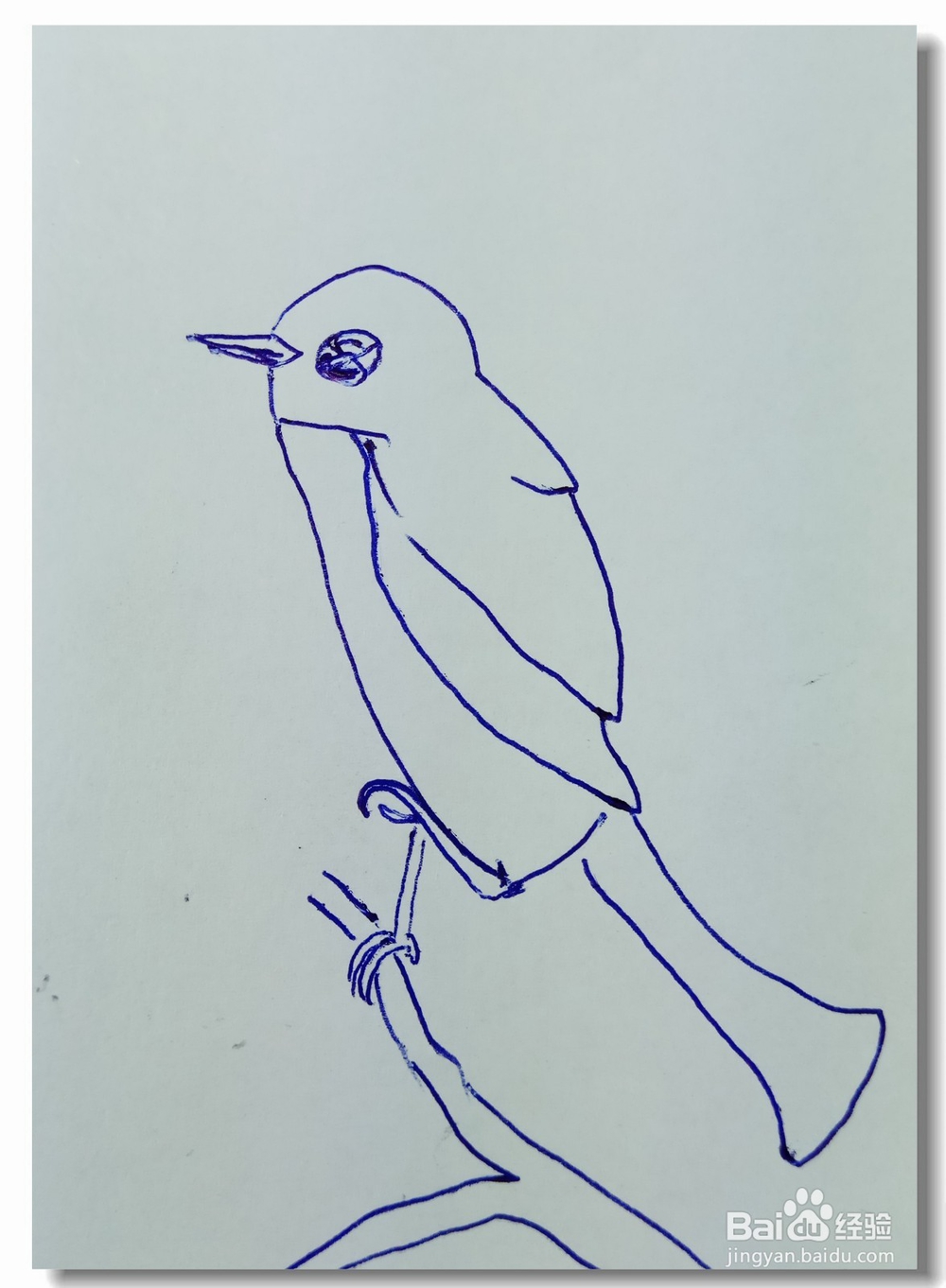 怎样画简笔画“单脚立枝鸟
