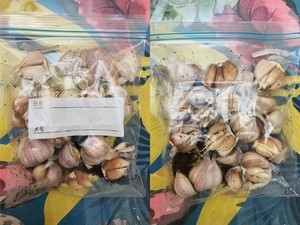 大蒜不发芽的储存方法