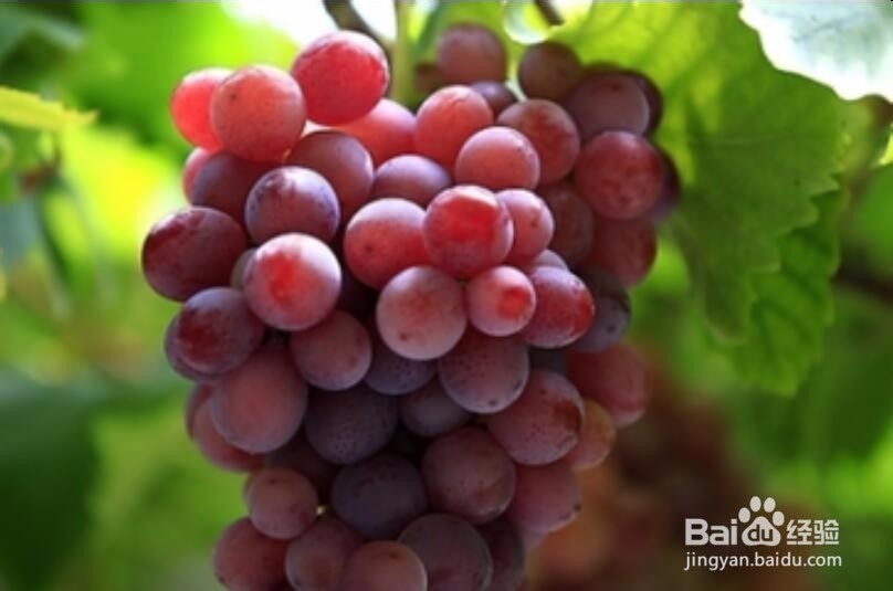 如何解决便秘问题?