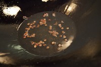 如何在家做出超好吃的酸菜鱼