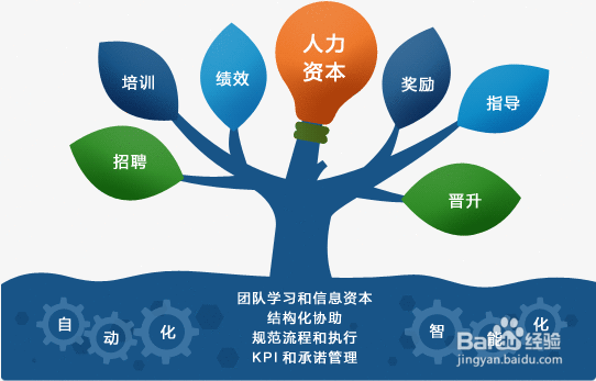 三大方面为你解释人力资源管理的新模式