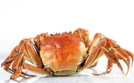 蒸好的大闸蟹吃不完怎么办