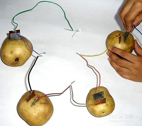 土豆发电制作方法