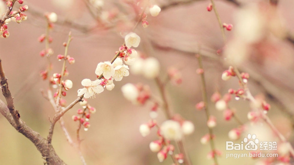 我单纯不代表蠢，爱你是真的，不爱你也是真的