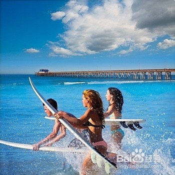 冲浪时遇鲨鱼怎么自救