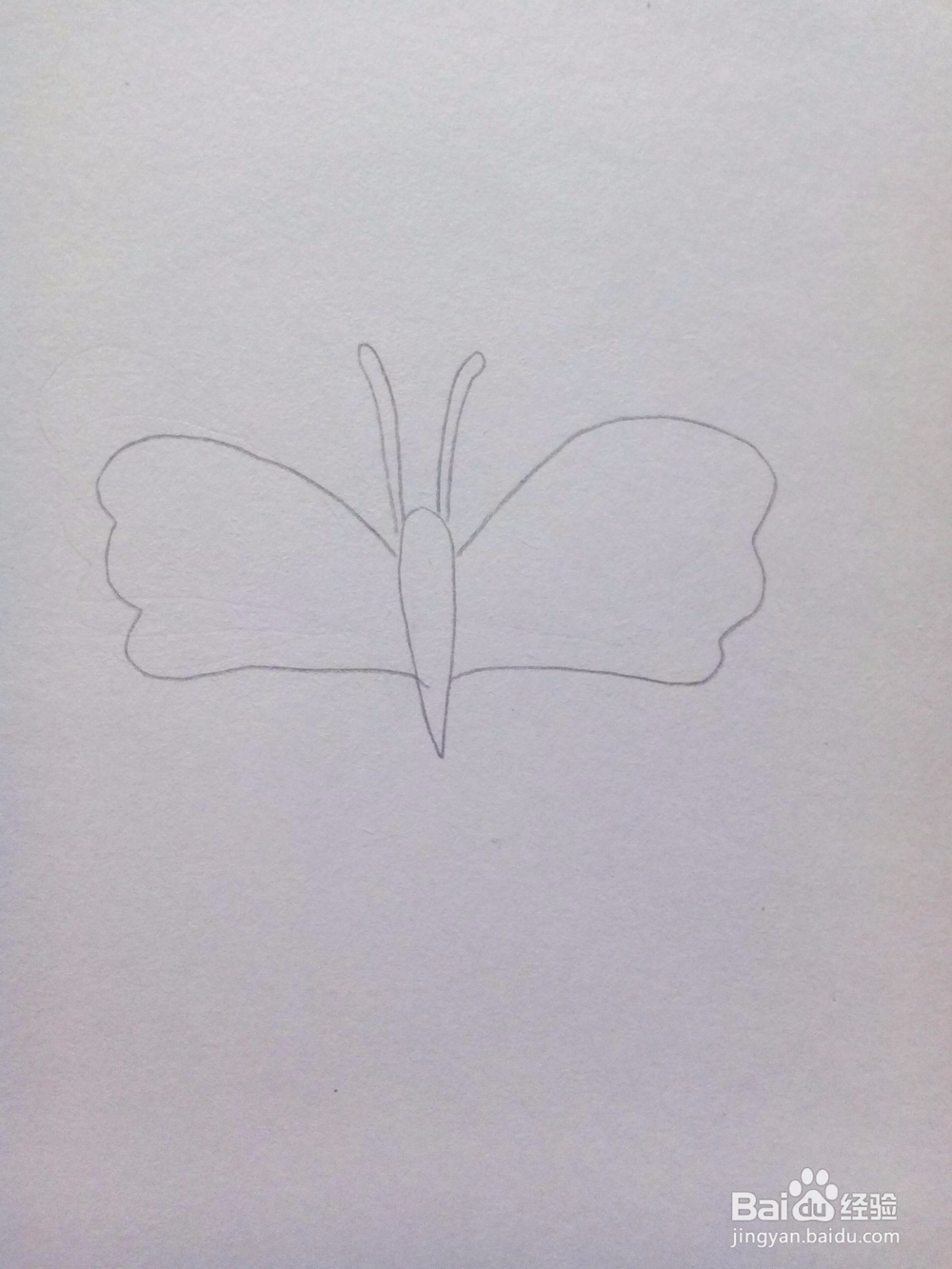 简笔画——蝴蝶