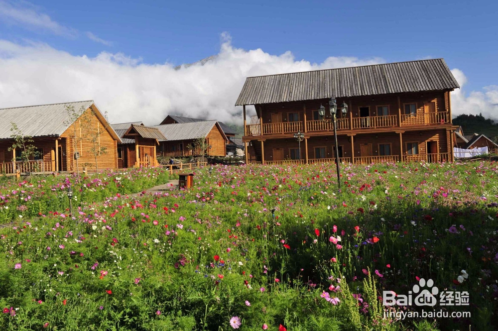 喀纳斯旅游攻略