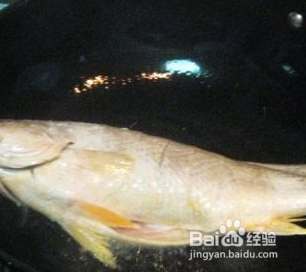 豆瓣酱烧黄鱼