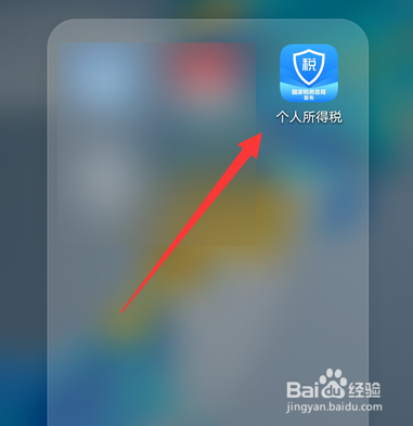 个人所得税怎么查询收入纳税明细