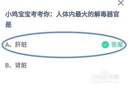 蚂蚁庄园，人体内最大的解毒器官是