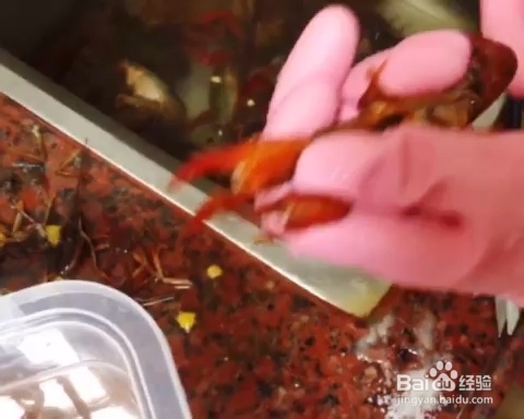 香气浓郁的小龙虾