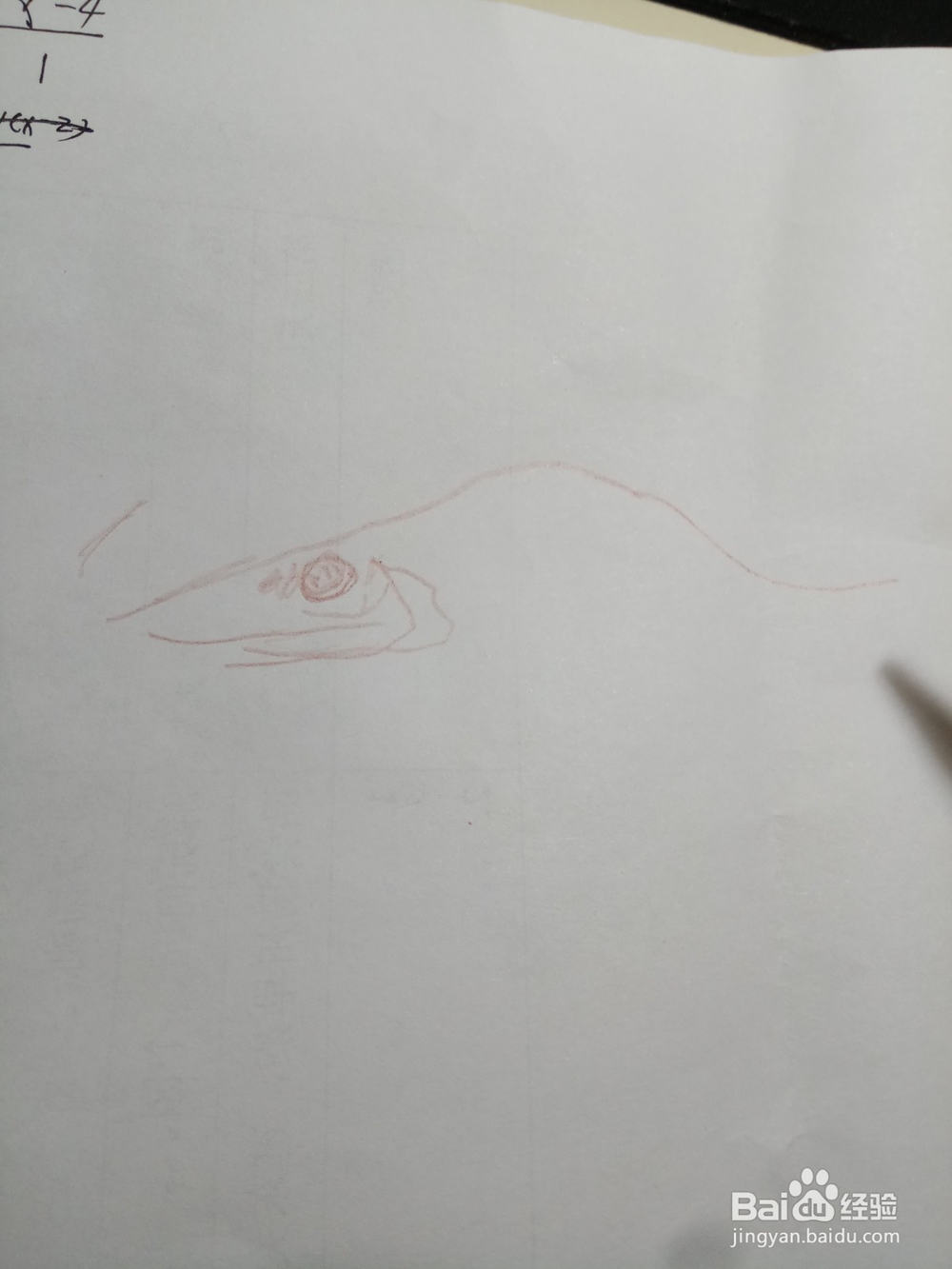 简笔鳜鱼画法
