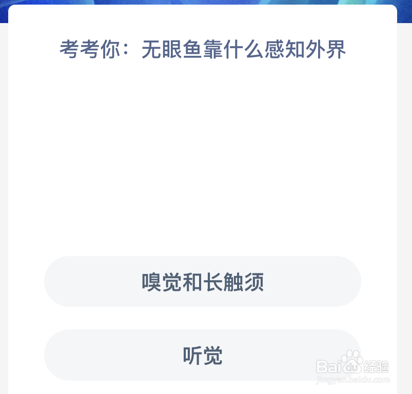 神奇海洋考考你无眼鱼靠什么感知外界